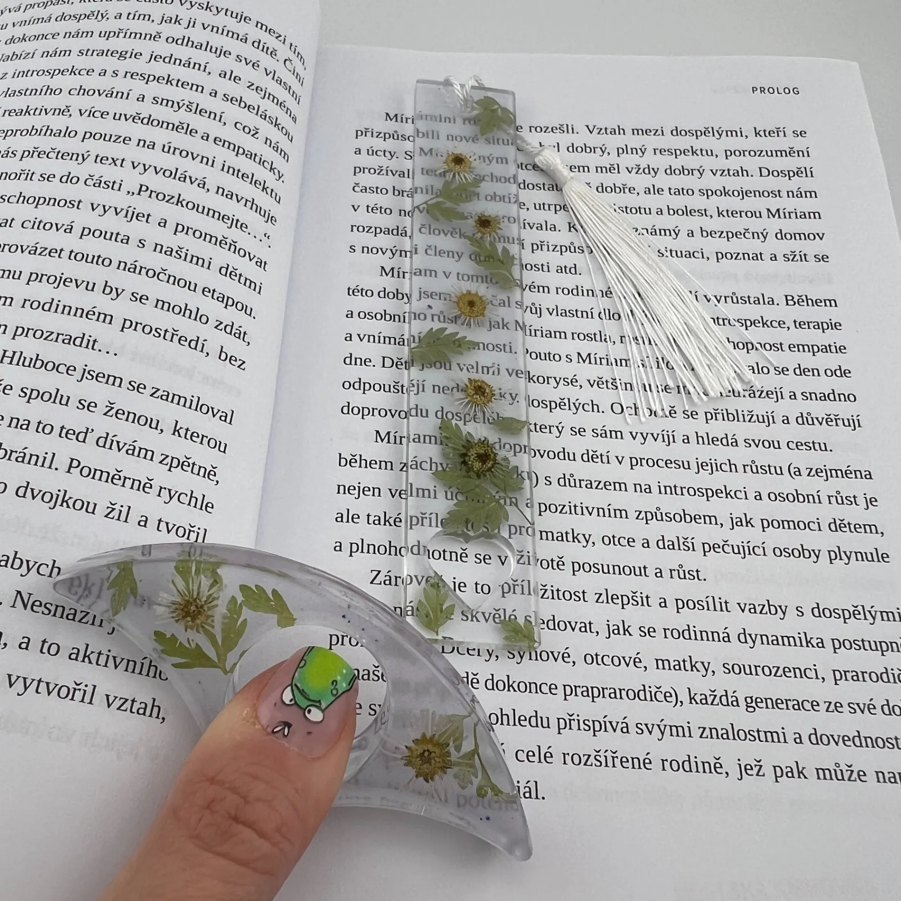 Set záložek, pryskyřice, květy, sedmikráska 2