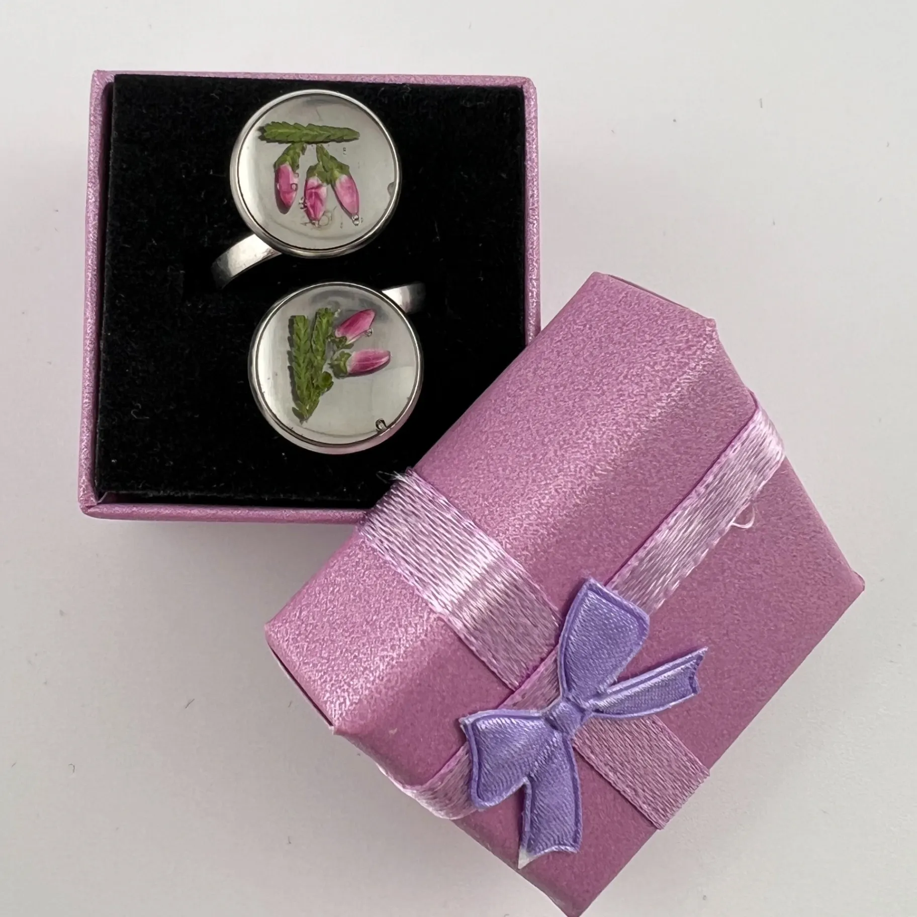 Prsten, pryskyřice, velký, květy, vřes 2